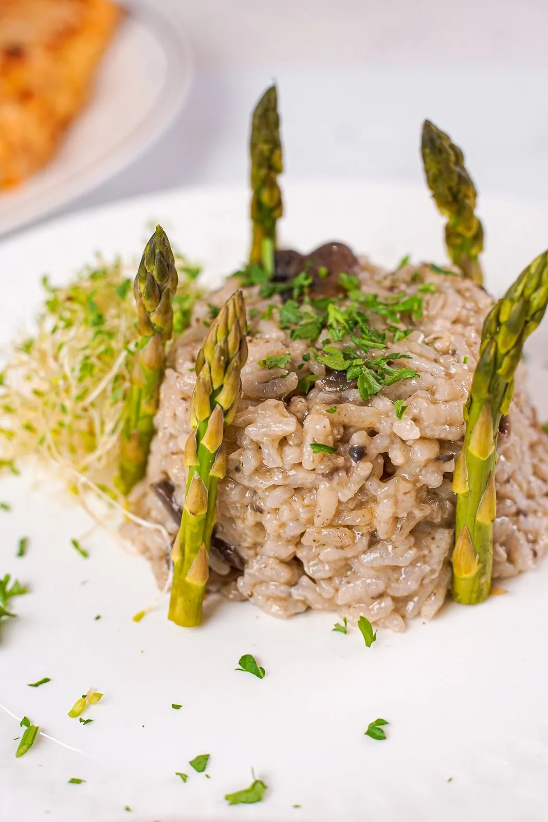 A plated risotto course with asparagus from a farm-to-table tasting menu in Brooklyn